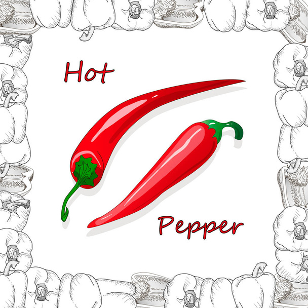 Close-up weergeven peper op witte achtergrond, Raw Food ingrediënt con - Vector, afbeelding