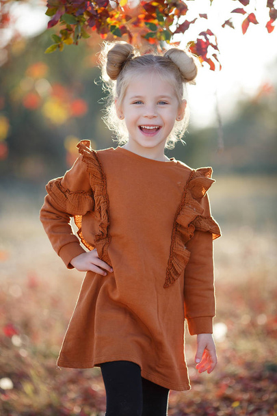 Cute girl poses for the photographer in a beautiful autumn park at sunset,walking alone.Little fashionista.Little girl happy smiling with autumn leaves. Girls autumn style.Little girl excited about autumn season.Autumn warm season pleasant moments. - Fotografie, Obrázek
