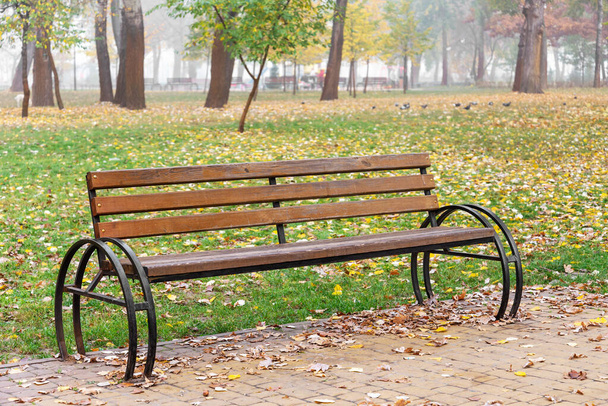 Osamělá lavička v parku na podzim - Fotografie, Obrázek