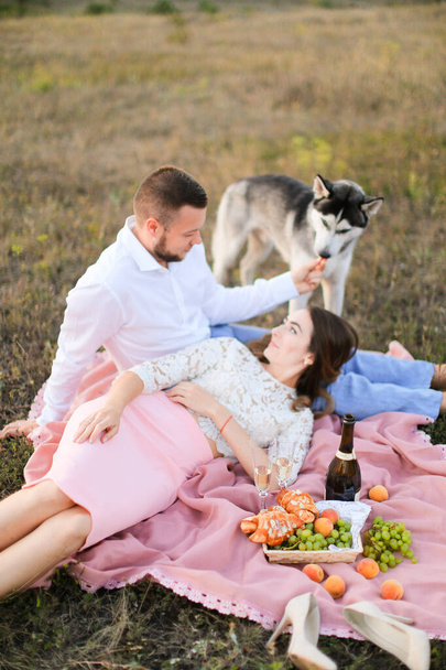 Giovane donna sdraiata sulle ginocchia dell'uomo e plaid rosa in steppa vicino husky e frutta
. - Foto, immagini