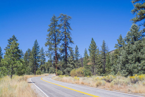 Zakręty w Mountain Roads w Kalifornii - Zdjęcie, obraz