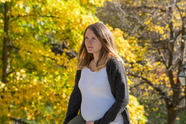 Pregnant woman in autumn - Photo, Image