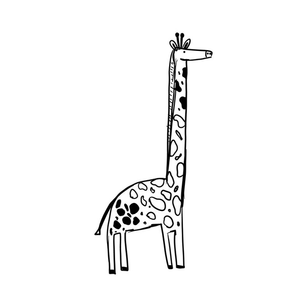 Bright banner bosquejo dibujado a mano jirafa animal
. - Vector, imagen