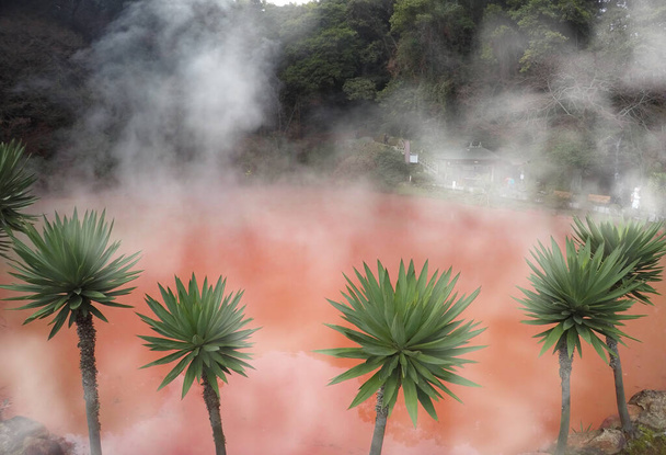 Chinoike Jigoku (Infierno de estanque de sangre), estanque rojo hirviendo caliente en Beppu, Oita-shi, Kyushu, Japón
 - Foto, Imagen