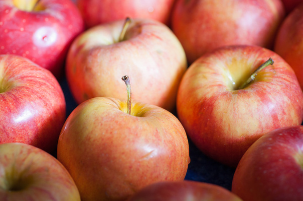 birçok elma - Fotoğraf, Görsel