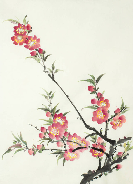 flowering peach branch - Photo, Image