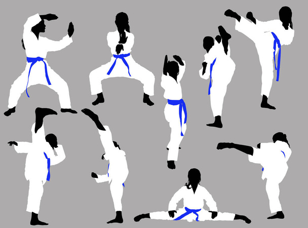 karate dívky trénovat - Vektor, obrázek