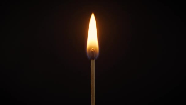 isolated flame burning on a match on a black background - Footage, Video