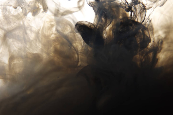 Black and white ink mix in water on a white isolated background in slow motion. Inky cloud swirling flowing underwater. Abstract smoke explosion - Foto, Imagem