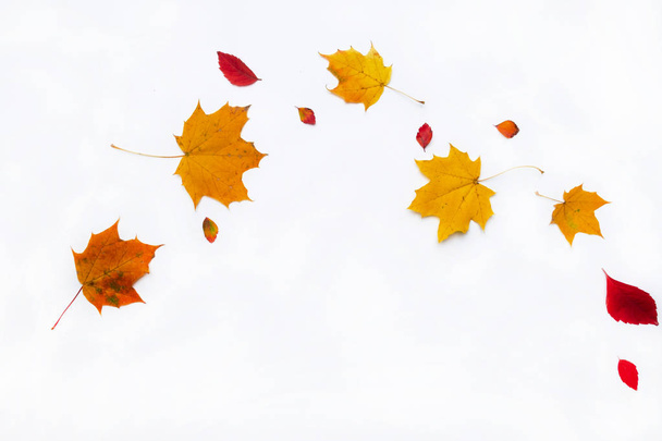 Frontera de otoño hecha de hojas de otoño sobre fondo blanco. Asiento plano, vista superior. Copia de espacio para promociones y descuentos de temporada
. - Foto, Imagen
