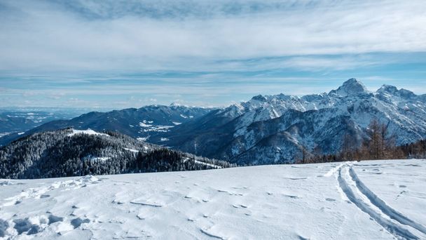 χειμωνιάτικη μέρα στις Άλπεις του Φρίουλι Βενέτσια-Τζούλια - Φωτογραφία, εικόνα