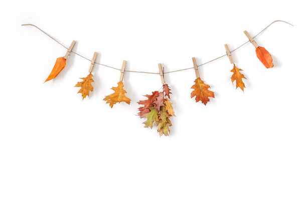 Garlands in the autumn climate. Autumn leaves on washing clips hung on a rustic sisal cord on a white background. - Fotó, kép