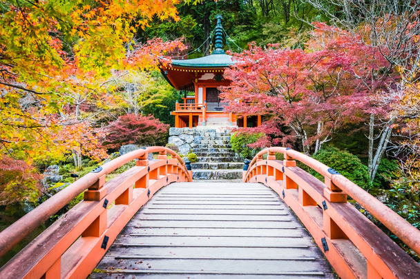 Beautiful Daigoji temple with colorful tree and leaf in autumn s - Photo, Image