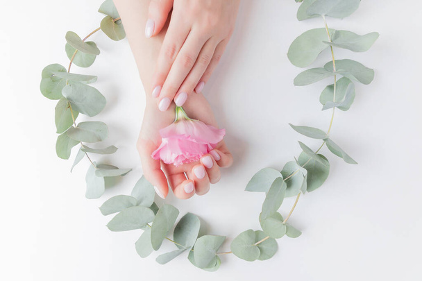 Κοντινό πλάνο όμορφη εξελιγμένα γυναικεία χέρια με ροζ λουλούδια σε λευκό φόντο. Φροντίδα αντίληψης, αντιρυτιδική, αντιγηραντική κρέμα, spa - Φωτογραφία, εικόνα