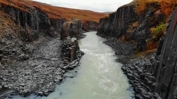 Drone fly back over canyon of black basalt columns, Iceland - Video