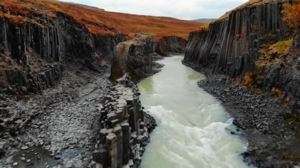 Aerial view of Studlagil Canyon, Jokulsa A Bru river in Iceland - Imágenes, Vídeo