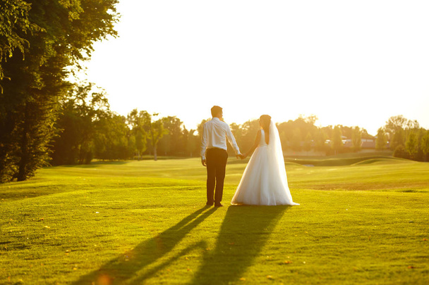 Happy bride and groom go into the sunset. Lovely wedding couple at sunset. Bride and groom in wedding attire is in the hands against the backdrop of the green field at sunset. Together. Wedding.  - Fotografie, Obrázek