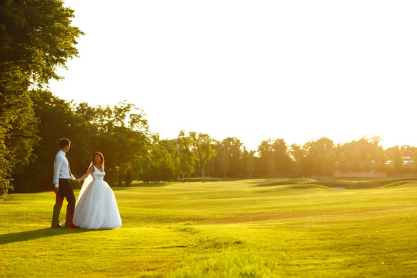 Happy bride and groom go into the sunset. Lovely wedding couple at sunset. Bride and groom in wedding attire is in the hands against the backdrop of the green field at sunset. Together. Wedding.  - Foto, immagini