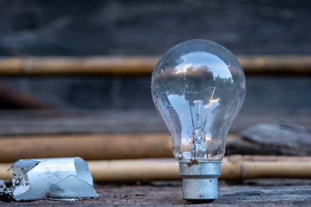 Лампочка, що стоїть на дереві - концепція економії енергії та великої ідеї
. - Фото, зображення