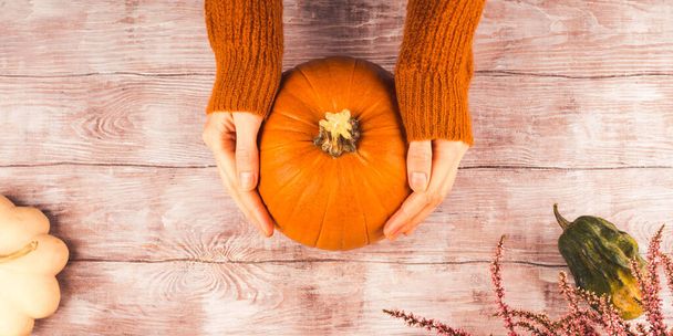 Autumn thanksgiving moody background with squash - 写真・画像