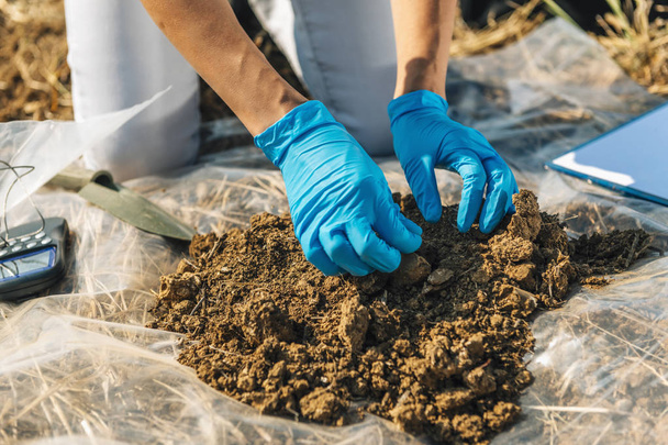Analiza żyzności gleby. Samica agronomii pobiera próbki gleby. Ochrona środowiska, certyfikacja gleby ekologicznej, badania, zbliżenie - Zdjęcie, obraz