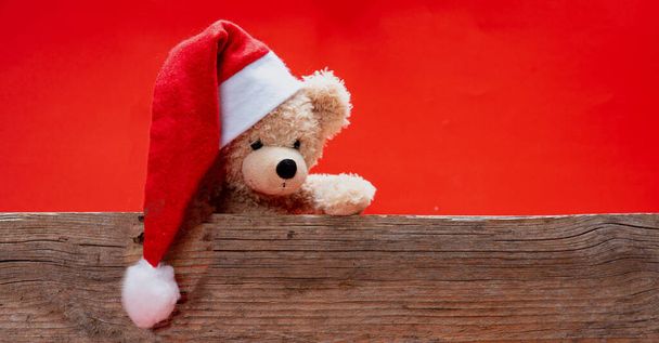 Teddy beer met kerstmuts, rode kleur achtergrond - Foto, afbeelding
