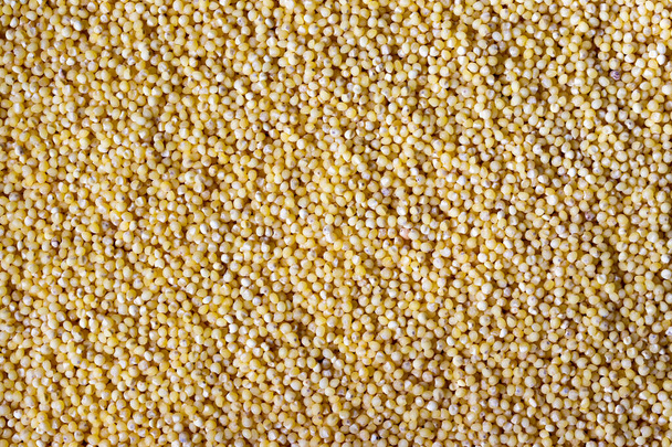 Millet groats background. Grain texture. - Foto, Bild