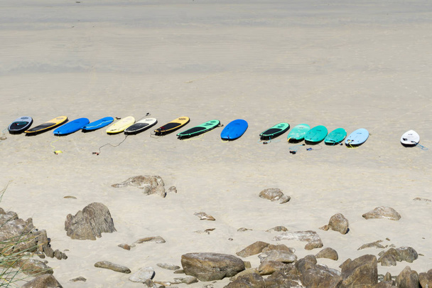 Kumlu bir plajda farklı renkte sörf tahtaları vardı. - Fotoğraf, Görsel