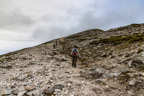 Trail, Rocks and vegetation at Croagh Patrick mountain with West - Photo, Image