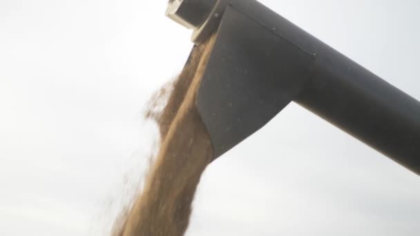 Landwirtschaft, Weizenernte auf dem Hof - Filmmaterial, Video
