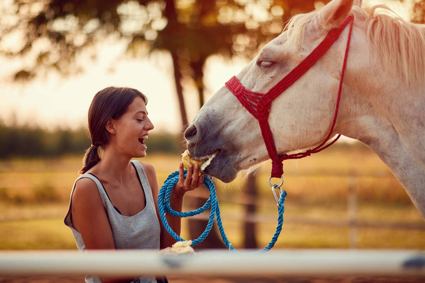 Woman petting a  horse on a ranch on a sunny summer day. - Фото, зображення
