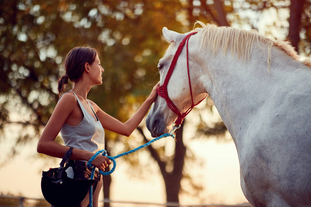 Smiling Girl rider and her beautiful horse at summer day on the farm.  - Foto, Imagem