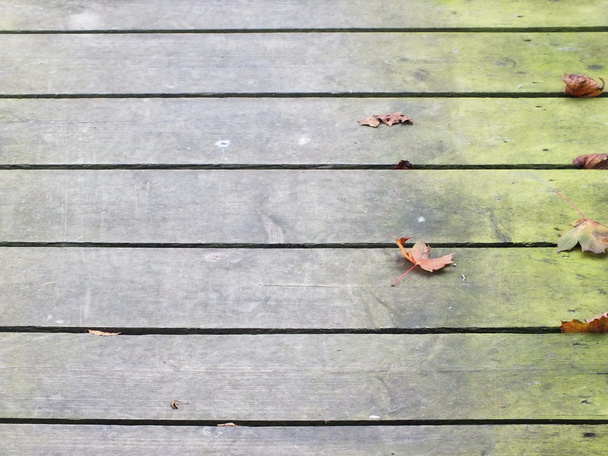 древесина - Фото, изображение