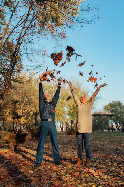 Elderly couple happily throws autumn fall leaves sitting in a park. Positive emotions of the elderly. - Foto, afbeelding