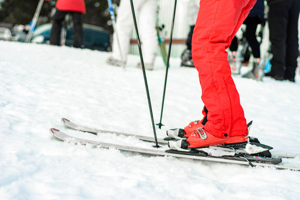 Esquí, botas y palos en rojo en la pierna de una mujer de cerca
. - Foto, Imagen