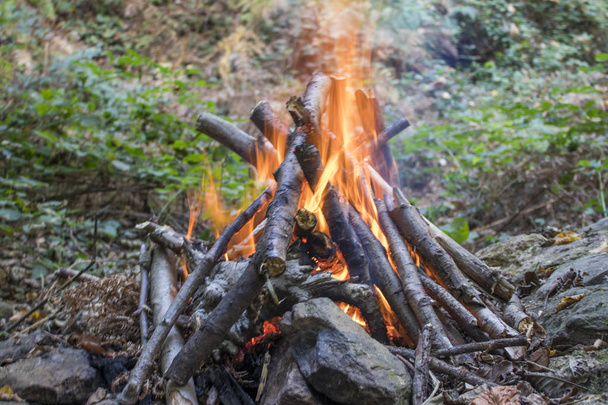 暖まるか何かを調理するために薪の火を焼き - 写真・画像