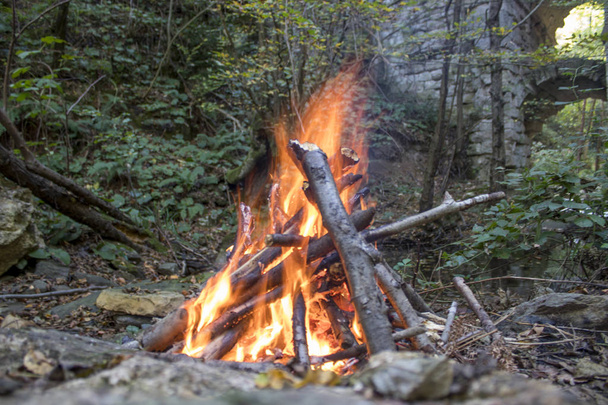 Poltettu puu tulipalo lämmetä tai kokki jotain
 - Valokuva, kuva
