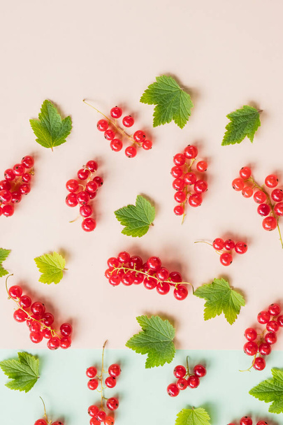 Flat lay of blueberries and currants pattern. Berry fruit with green leaves repetition. Fresh berries pattern. Composition of raspberry, currant and strawberry on a white background. Top view, flat - Foto, imagen
