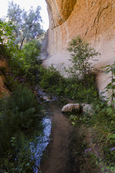 Grote Canyon gevormd door de erosie genaamd Barranco de la Luna (Granada) - Foto, afbeelding