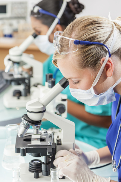 Female Scientist Research Team Using Microscopes in Laboratory - Φωτογραφία, εικόνα