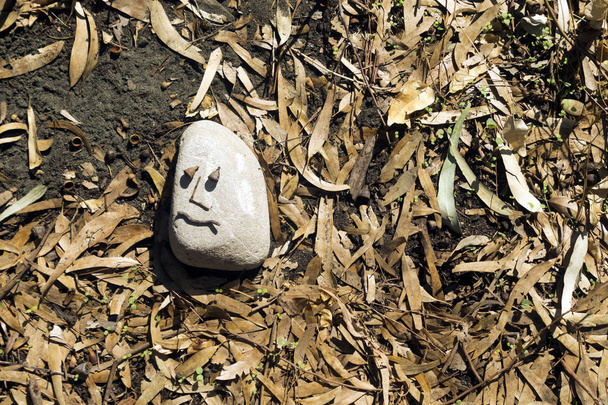 Pequeña piedra blanca con una cara divertida tumbada en el suelo de un bosque cubierto de hojas secas de eucalipto, palos y frutas
 - Foto, imagen