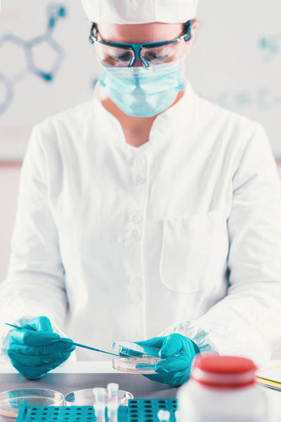 Microbiologist working in laboratory - Photo, Image
