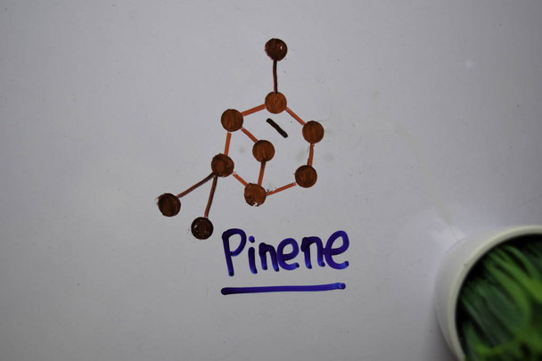 Pineno é uma molécula cíclica escrita na placa branca. Fórmula química estrutural. Conceito de educação
 - Foto, Imagem