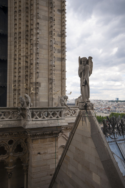 パリのノートルダム大聖堂 - 写真・画像