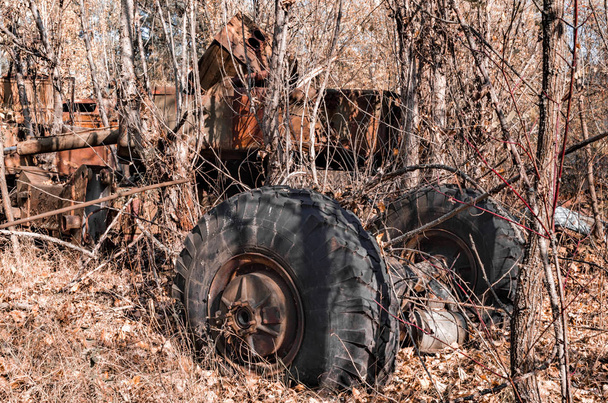 part of an old car in the forest in Chernobyl - Foto, Bild