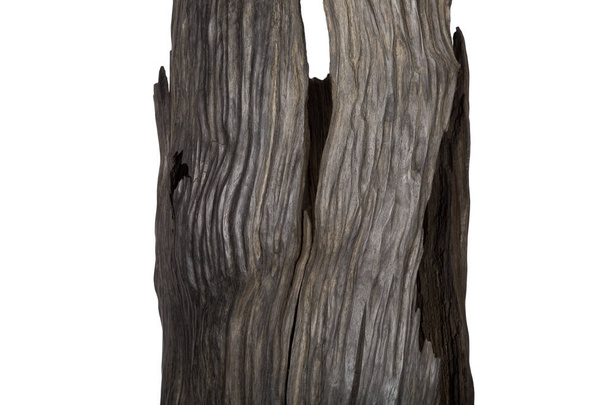 Beautiful handmade carved oak sculpture. Old bog oak. - Fotoğraf, Görsel