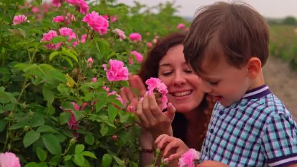 Máma s malým synem na poli růží - Záběry, video