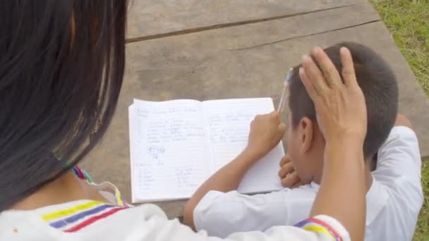 Jonge inheemse vrouw helpt een jonge jongen met zijn huiswerk - Video