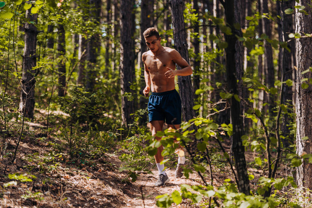Ο άνθρωπος με αθλητικά ρούχα τρέχει μέσα από το δάσος κοντά στα δέντρα - Φωτογραφία, εικόνα