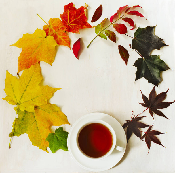 Cup of tea and autumn colorful leaves, top view - Fotó, kép